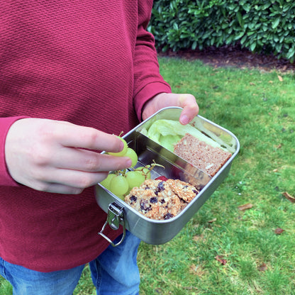 "Happy Whale" Brotdose (Vol: 800ml) - Versand ab 1.12.2025